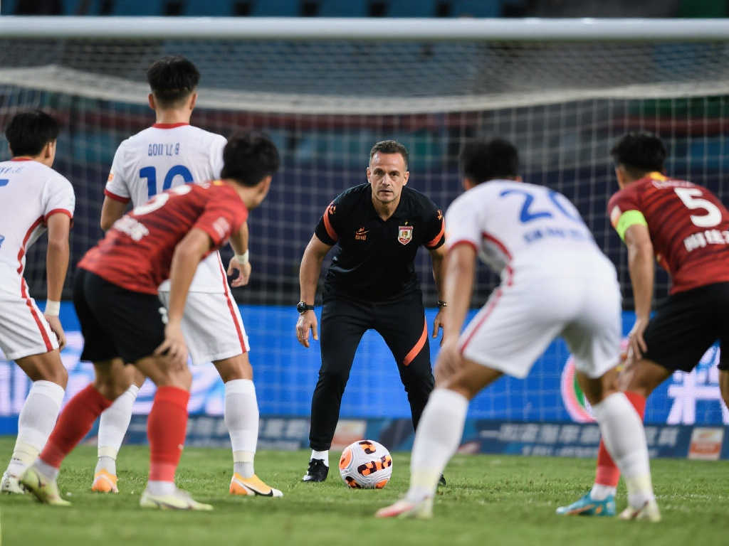 期待哈兰德 期待哈兰德