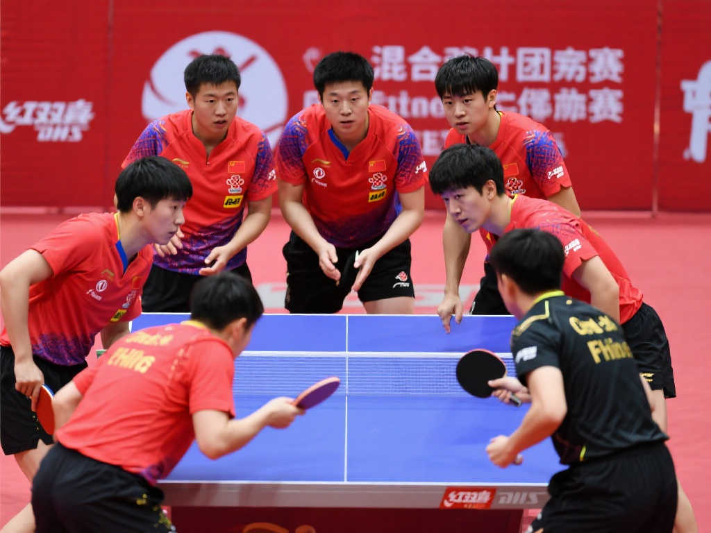 近年来的发 近年来的发